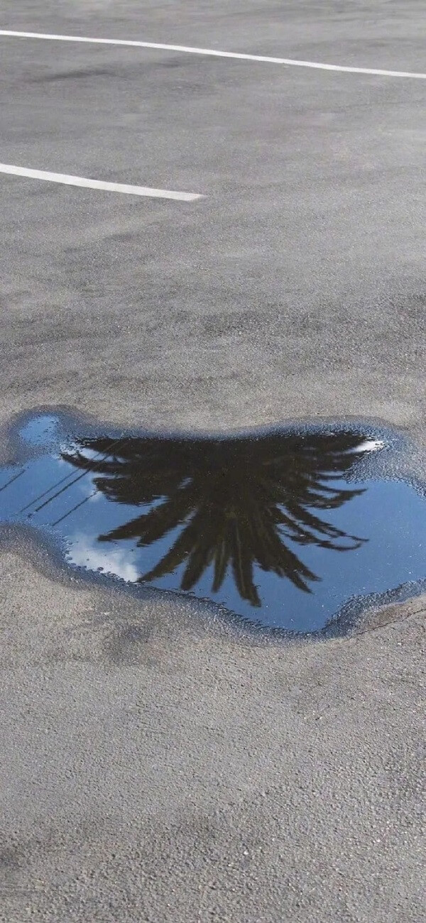 Hình nền nhẹ nhàng cho điện thoại màu pastel