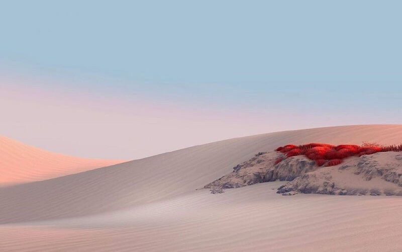 Hình nền máy tính win 11 3