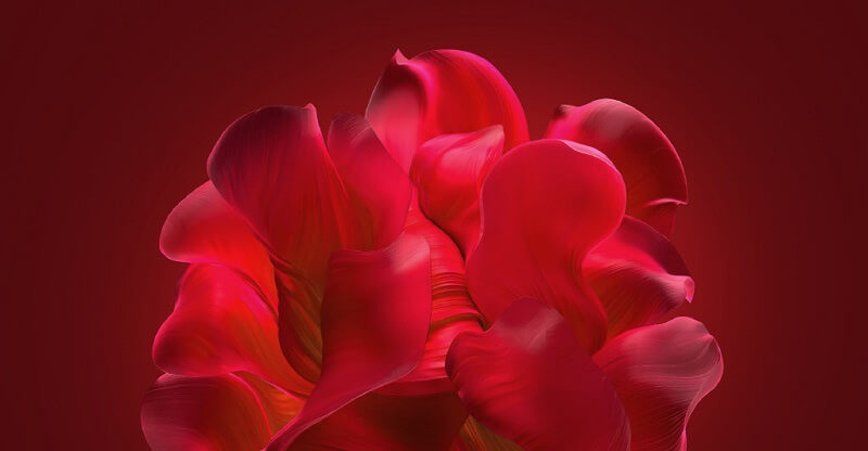 Hình nền win 11 4k 2