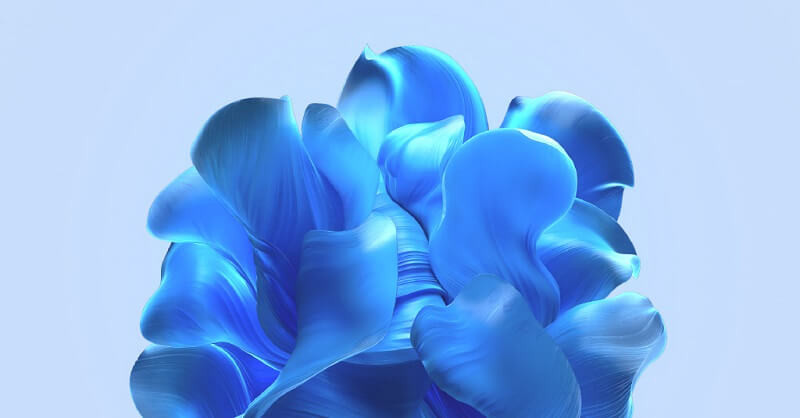 Hình nền win 11 4k 4